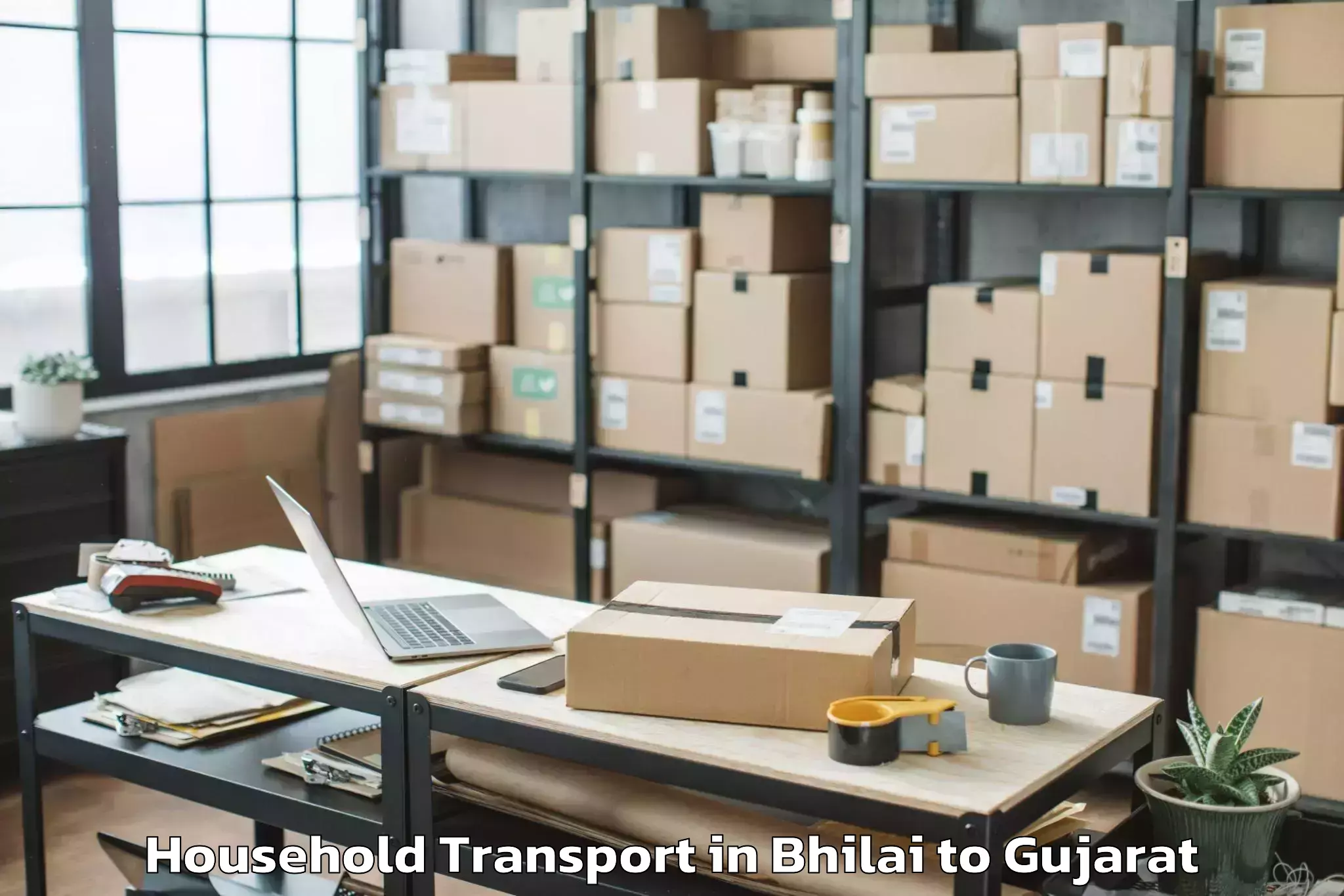 Professional Bhilai to Vadgam Household Transport